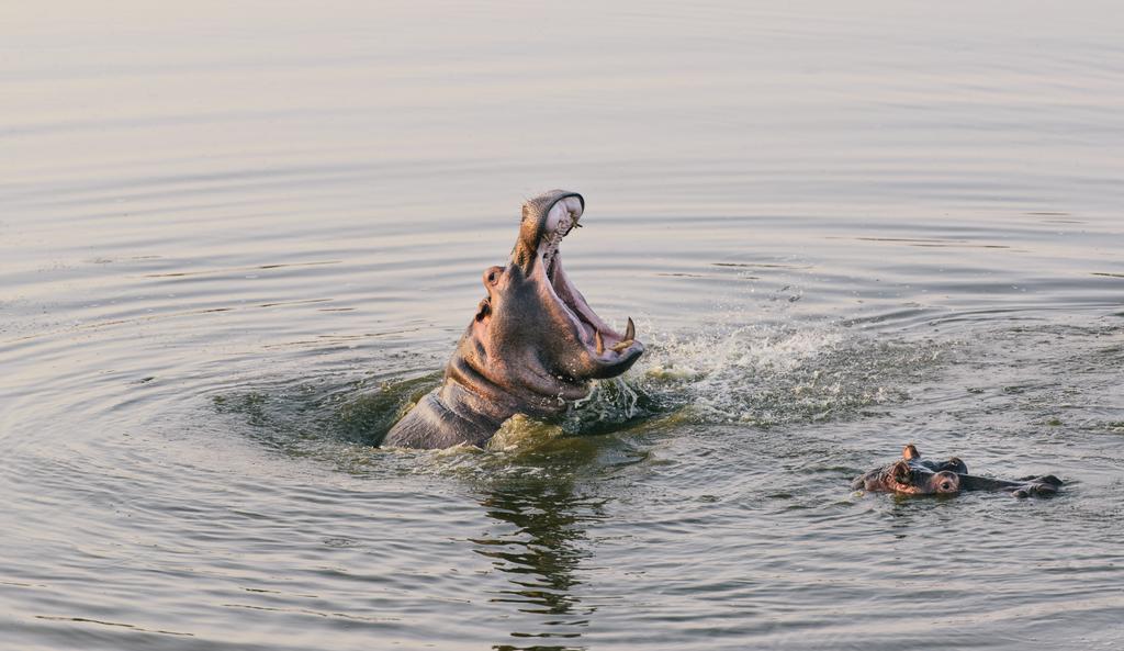 Monate Game Lodge Модимолле Экстерьер фото